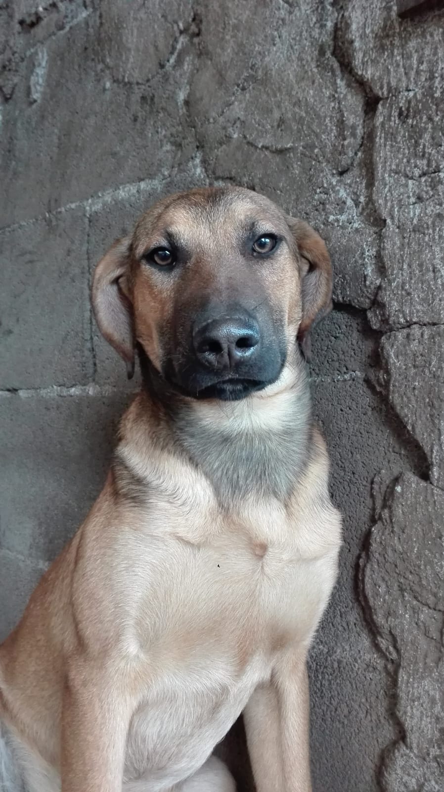Riccardo