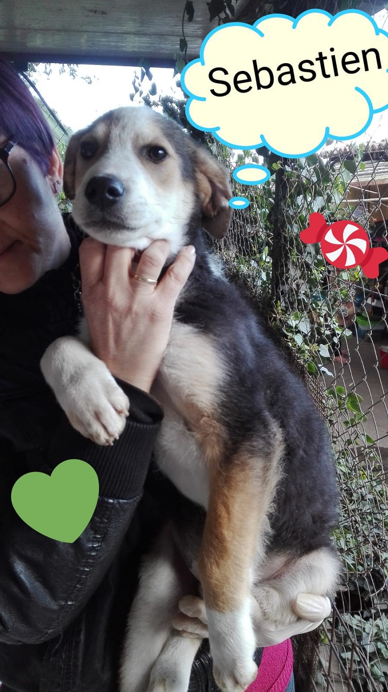 Foto piccolo Sebastien